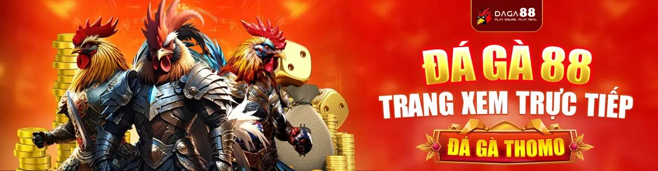Đấu trường đá gà trực tuyến sôi động tại MCW888